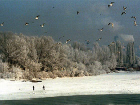 Зима. Фото с сайта www.7c.ru