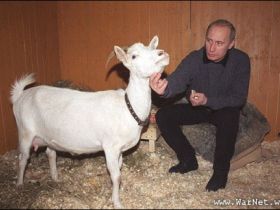 Путин и коза Сказка. Фото: warnet.ws