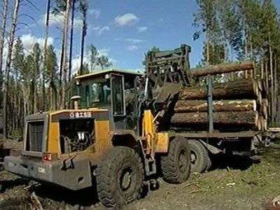 Заготовка леса. Фото: m.gazeta.a42.ru