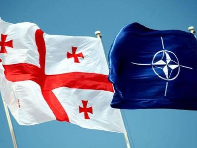 Грузия и НАТО. Фото: topwar.ru