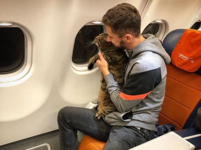 Путешествие кота Виктора со своим хозяином. Фото: facebook.com/mikhail.galin.7