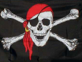 Пиратский флаг. Фото: с сайта buddel.de (С)