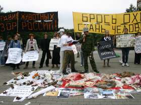 Митинг против Закона "Об охоте".  Фото Юлии Галяминой (Каспаров.Ru)