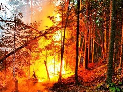 Забайкалье, лесной пожар, авг. 2015 г. Фото: facebook.com